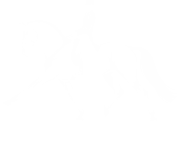 Katie Duffy Dressage